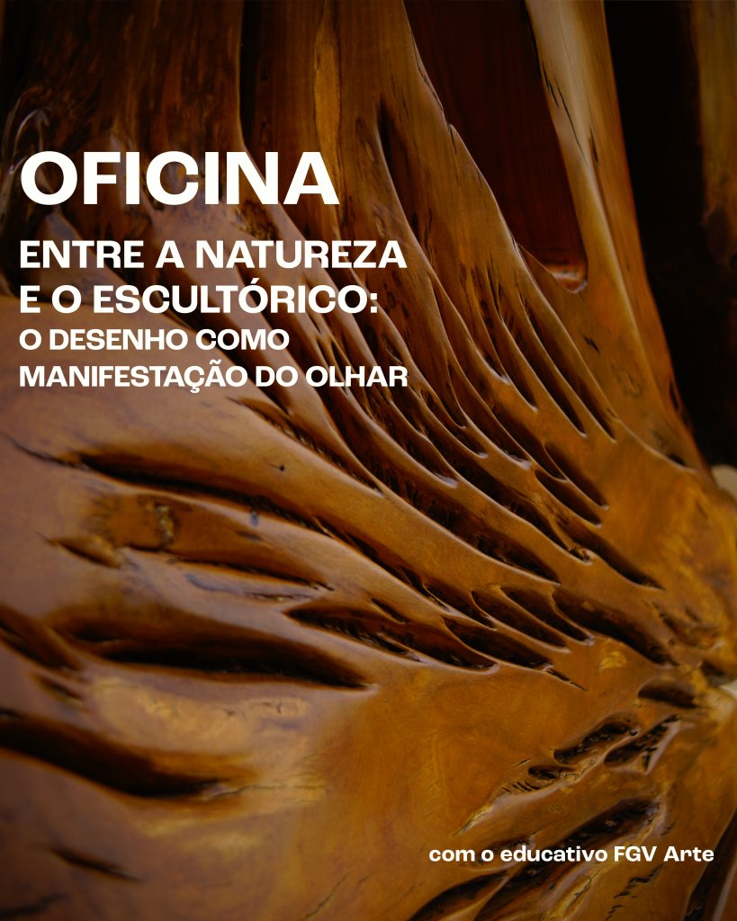 imagem de divulgação